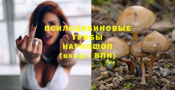 ешки Горно-Алтайск