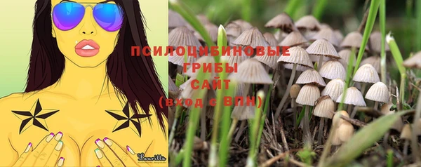 кристаллы Горнозаводск