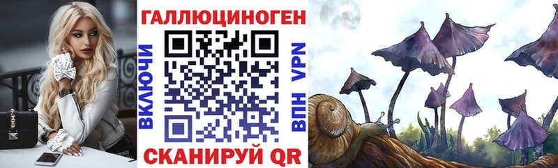Галлюциногенные грибы мицелий  цены   Заозёрный 